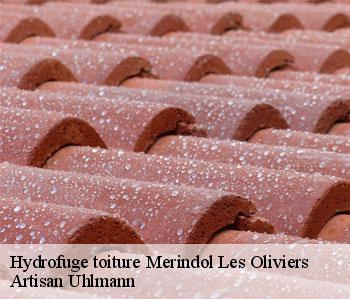 Hydrofuge toiture  merindol-les-oliviers-26170 Artisan Uhlmann