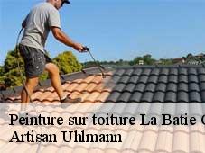 Peinture sur toiture  la-batie-cremezin-26310 Artisan Uhlmann