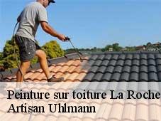 Peinture sur toiture  la-roche-sur-le-buis-26170 Artisan Uhlmann