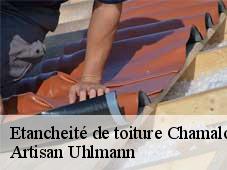 Etancheité de toiture  chamaloc-26150 Artisan Uhlmann