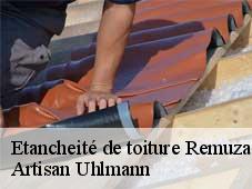 Etancheité de toiture  remuzat-26510 Artisan Uhlmann