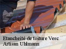 Etancheité de toiture  vesc-26220 Artisan Uhlmann